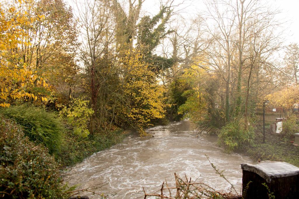Little Hallingbury Mill Exteriér fotografie
